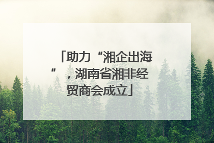 助力“湘企出海”，湖南省湘非经贸商会成立