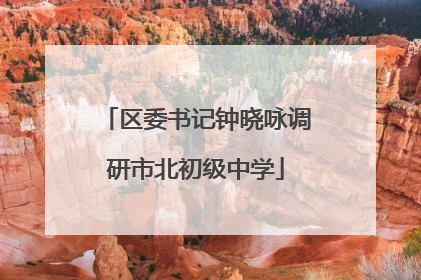 区委书记钟晓咏调研市北初级中学