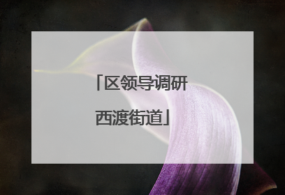 区领导调研西渡街道