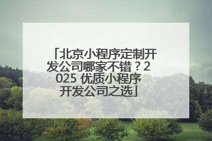 北京小程序定制开发公司哪家不错？2025 优质小程序开发公司之选