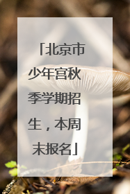 北京市少年宫秋季学期招生，本周末报名