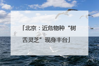 北京：近危物种“树舌灵芝”现身丰台