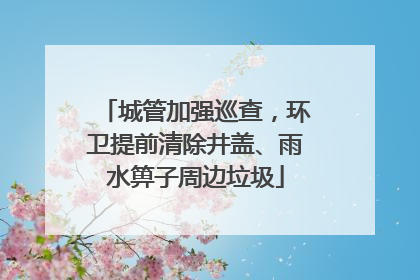 城管加强巡查，环卫提前清除井盖、雨水箅子周边垃圾