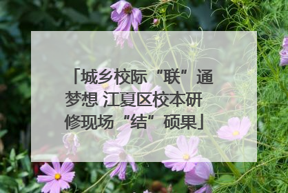 城乡校际“联”通梦想 江夏区校本研修现场“结”硕果