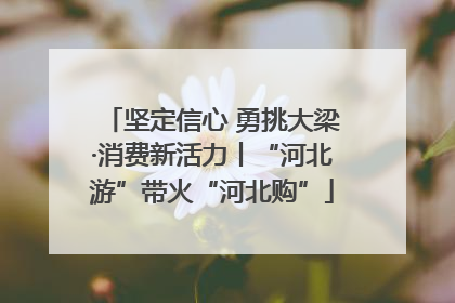 坚定信心 勇挑大梁·消费新活力丨“河北游”带火“河北购”