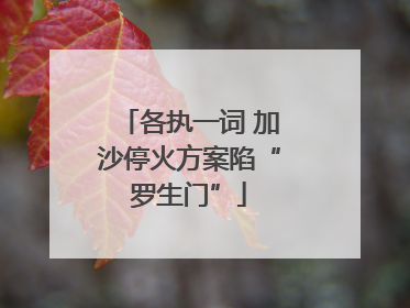 各执一词 加沙停火方案陷“罗生门”