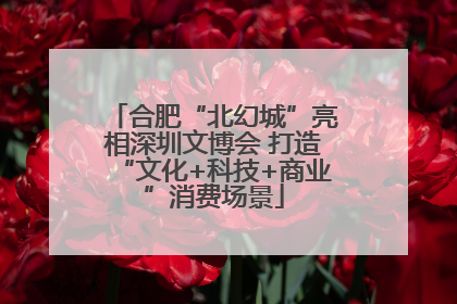 合肥“北幻城”亮相深圳文博会 打造“文化+科技+商业”消费场景