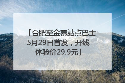 合肥至金寨站点巴士5月29日首发，开线体验价29.9元