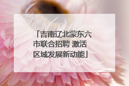 吉南辽北蒙东六市联合招聘 激活区域发展新动能