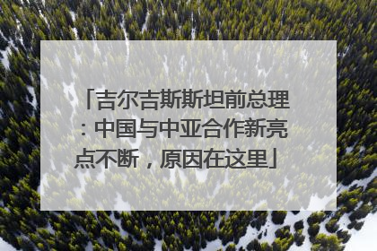 吉尔吉斯斯坦前总理：中国与中亚合作新亮点不断，原因在这里