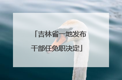 吉林省一地发布干部任免职决定