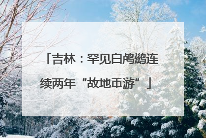 吉林：罕见白鸬鹚连续两年“故地重游”