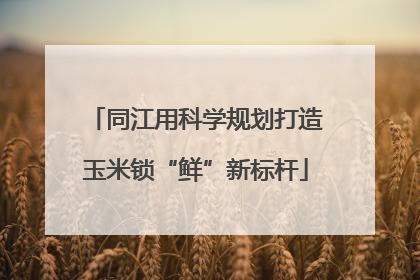同江用科学规划打造玉米锁“鲜”新标杆