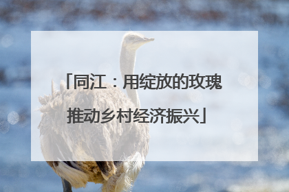 同江：用绽放的玫瑰 推动乡村经济振兴