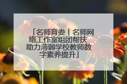 名师育娄丨名师网络工作室组团帮扶 助力薄弱学校教师数字素养提升