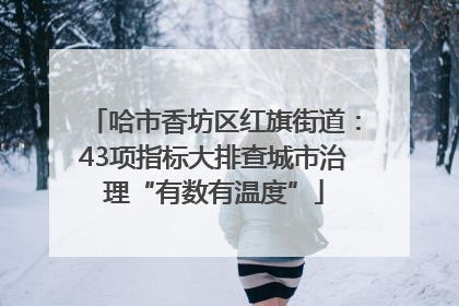 哈市香坊区红旗街道：43项指标大排查城市治理“有数有温度”