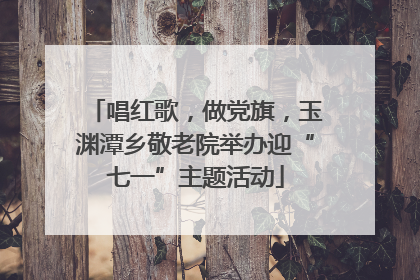 唱红歌，做党旗，玉渊潭乡敬老院举办迎“七一”主题活动