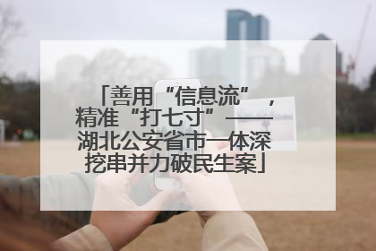 善用“信息流”，精准“打七寸”——湖北公安省市一体深挖串并力破民生案