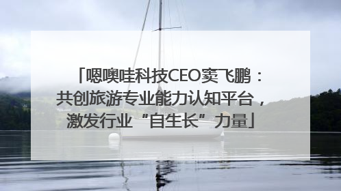 嗯噢哇科技CEO窦飞鹏：共创旅游专业能力认知平台，激发行业“自生长”力量