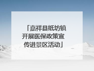 嘉祥县纸坊镇开展医保政策宣传进景区活动