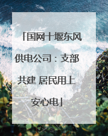 国网十堰东风供电公司：支部共建 居民用上安心电