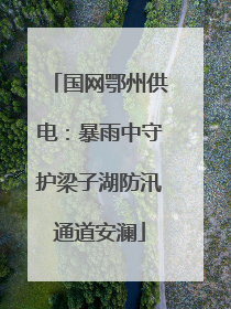 国网鄂州供电：暴雨中守护梁子湖防汛通道安澜