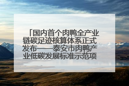国内首个肉鸭全产业链碳足迹核算体系正式发布——泰安市肉鸭产业低碳发展标准示范项目顺利通过验收