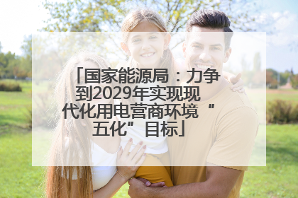 国家能源局：力争到2029年实现现代化用电营商环境“五化”目标