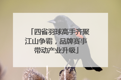 四省羽球高手齐聚江山争霸，品牌赛事带动产业升级