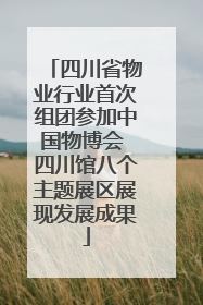 四川省物业行业首次组团参加中国物博会 四川馆八个主题展区展现发展成果