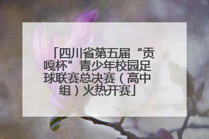 四川省第五届“贡嘎杯”青少年校园足球联赛总决赛（高中组）火热开赛