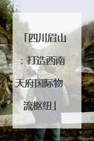 四川眉山：打造西南天府国际物流枢纽