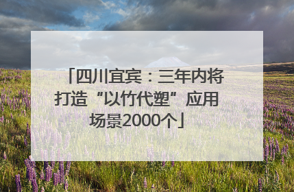 四川宜宾：三年内将打造“以竹代塑”应用场景2000个
