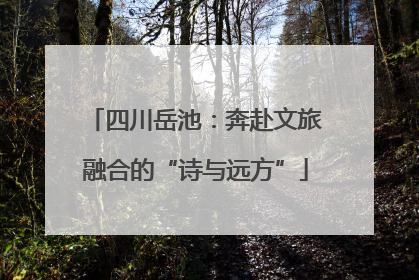 四川岳池：奔赴文旅融合的“诗与远方”