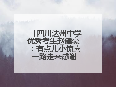 四川达州中学优秀考生赵健豪：有点儿小惊喜 一路走来感谢这么多人关爱