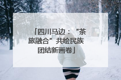 四川马边：“茶旅融合”共绘民族团结新画卷