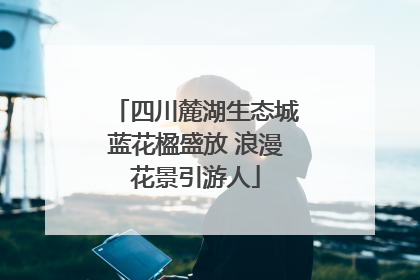 四川麓湖生态城蓝花楹盛放 浪漫花景引游人