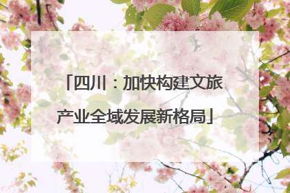 四川：加快构建文旅产业全域发展新格局