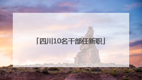 四川10名干部任新职