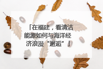 在福建，看清洁能源如何与海洋经济浪漫“邂逅”