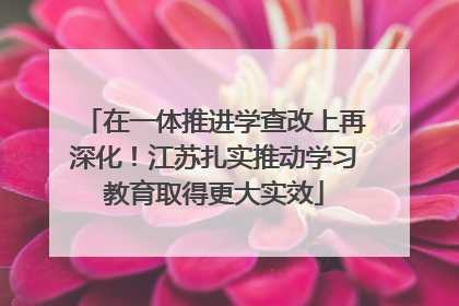 在一体推进学查改上再深化！江苏扎实推动学习教育取得更大实效