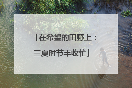 在希望的田野上：三夏时节丰收忙