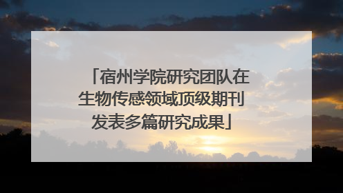 宿州学院研究团队在生物传感领域顶级期刊发表多篇研究成果