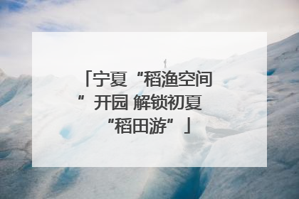 宁夏“稻渔空间”开园 解锁初夏“稻田游”