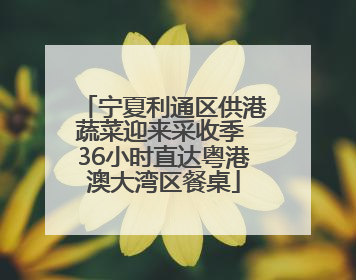 宁夏利通区供港蔬菜迎来采收季 36小时直达粤港澳大湾区餐桌