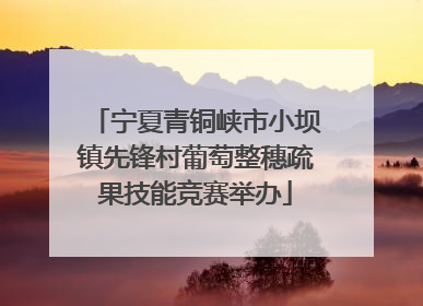宁夏青铜峡市小坝镇先锋村葡萄整穗疏果技能竞赛举办