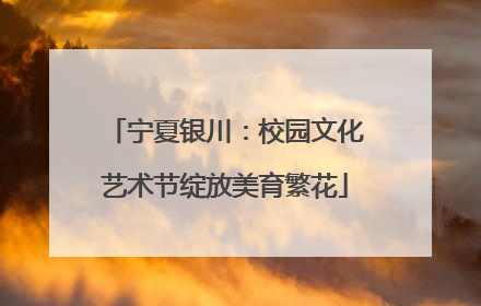 宁夏银川：校园文化艺术节绽放美育繁花