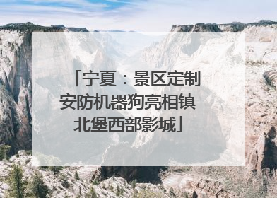 宁夏：景区定制安防机器狗亮相镇北堡西部影城