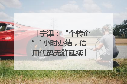 宁津：“个转企”1小时办结，信用代码无缝延续