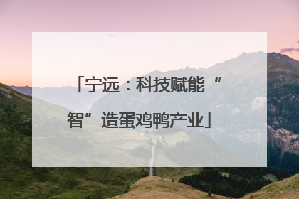宁远：科技赋能“智”造蛋鸡鸭产业